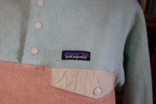 02 Bicolor Patagonia fleece jacket
